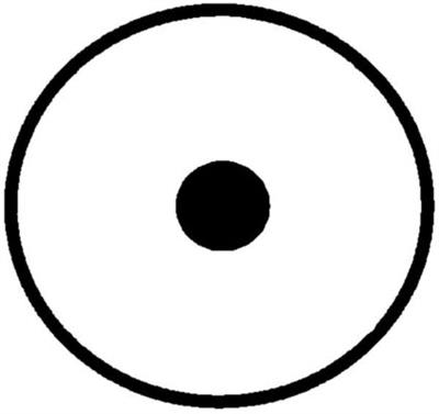 MAHLE ORIGINAL ACP 801 000S Číslo výrobce: 351109721. EAN: 4057635032414.