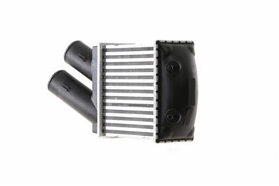 MAHLE ORIGINAL CI 344 001S Číslo výrobce: 376776504. EAN: 4057635064965.