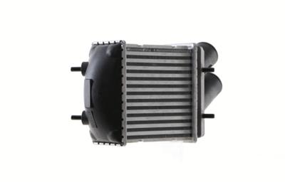 MAHLE ORIGINAL CI 344 001S Číslo výrobce: 376776504. EAN: 4057635064965.