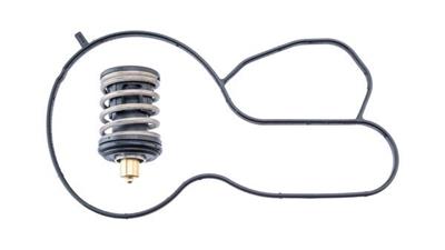 MAHLE ORIGINAL TX 495 87D Číslo výrobce: 72560477.