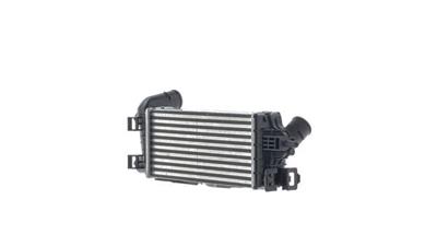 MAHLE ORIGINAL CI 677 000S Číslo výrobce: 72538668. EAN: 4057635213479.