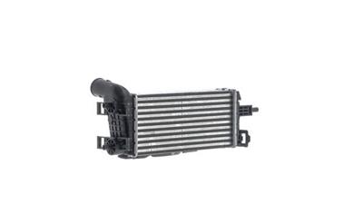 MAHLE ORIGINAL CI 677 000S Číslo výrobce: 72538668. EAN: 4057635213479.