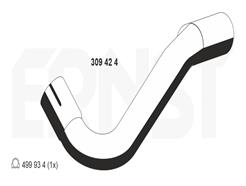 ERNST 309424