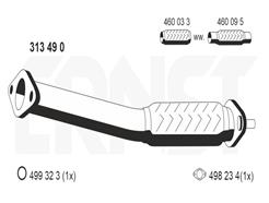 ERNST 313490