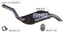 ERNST 315173