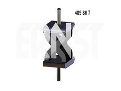 ERNST 489867