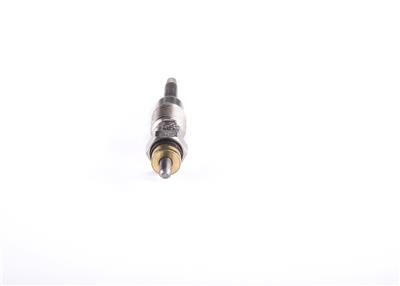 BOSCH 0 250 202 001 Číslo výrobce: GLP010. EAN: 3165143181966.