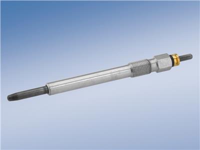 BOSCH 0 250 202 040 Číslo výrobce: GLP048. EAN: 3165143182321.