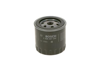 BOSCH F 026 407 250 Číslo výrobce: P 7250. EAN: 4047026224139.