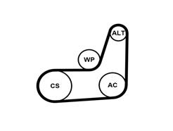 CONTITECH 6PK1019 ELAST T2