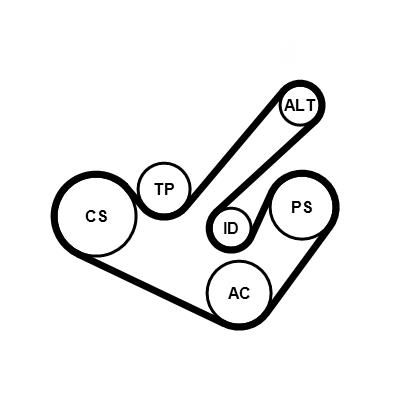 CONTITECH 6PK1555K9 Číslo výrobce: 6 PK 1555. EAN: 4010858991036.