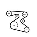 CONTITECH 6PK1873WP1