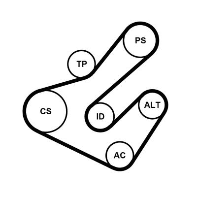 CONTITECH 7PK1795K2 Číslo výrobce: 7PK1795. EAN: 4010858133641.