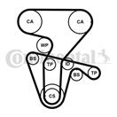 CONTITECH CT877K5PRO