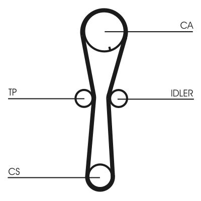 CONTITECH CT954 Číslo výrobce: CPPN 1067 9,525 M 28. EAN: 4010858026080.