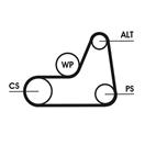 CONTITECH 6PK1042 ELAST T1