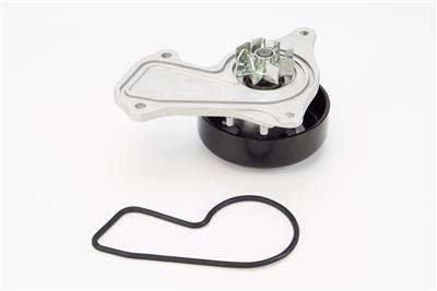 CONTITECH WPS3129 EAN: 4010858997083.