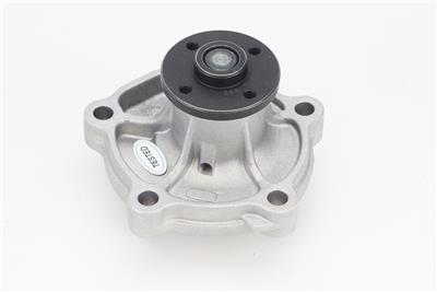 CONTITECH WPS3137 EAN: 4010858996048.