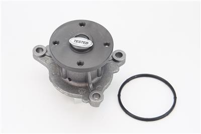 CONTITECH WPS3147 EAN: 4010858995966.