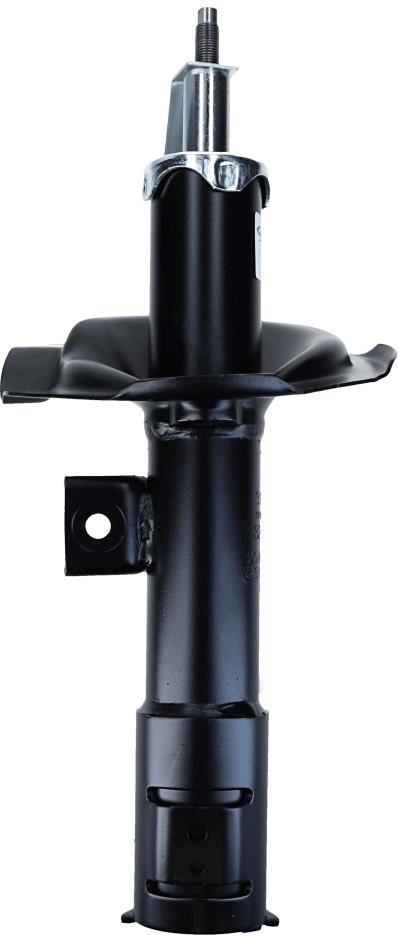 SACHS 315 195 EAN: 4013872803767.