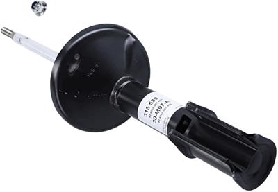 SACHS 315 539 EAN: 4013872822324.