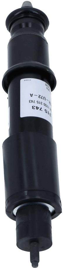 SACHS 315 743 EAN: 4013872833764.