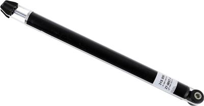 SACHS 315 898 EAN: 4013872845514.