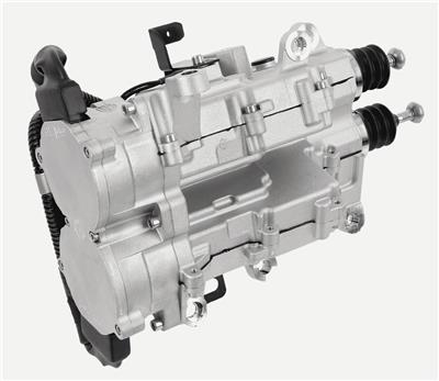 SACHS 3981 654 005 EAN: 4059923031239.