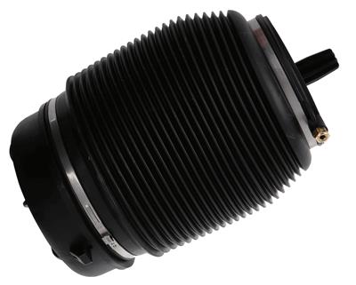 SACHS 994 906 EAN: 4059923019589.