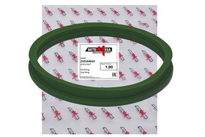 AUTOMEGA 210164810 EAN: 4053184466946.