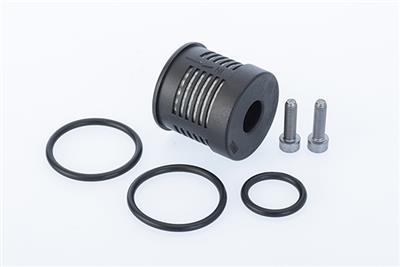 BorgWarner DS108190 EAN: 4063984900151.