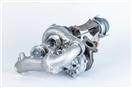 BorgWarner 10009900074
