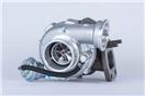 BorgWarner 53169887141