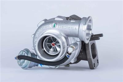 BorgWarner 53169887141 EAN: 4063984000417.