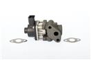 BorgWarner 711024D - AGR-Ventil