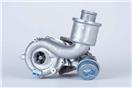 BorgWarner (3K) 53039880052