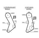 GATES 5003 PowerGrip™