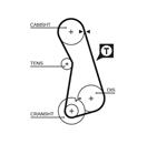 GATES 5308 PowerGrip™