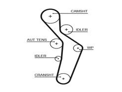 GATES 5616XS PowerGrip™