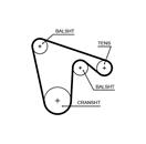 GATES 5619XS PowerGrip™