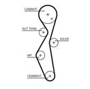 GATES 5672XS PowerGrip™