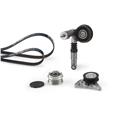 GATES K075PK1435 Micro-V®