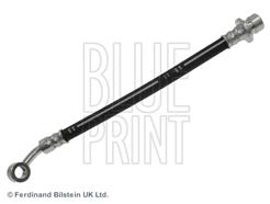 BLUE PRINT ADH253169