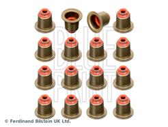 BLUE PRINT ADJ136109