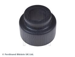 BLUE PRINT ADJ138036