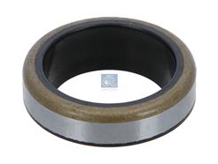 DT Spare Parts 4.20176