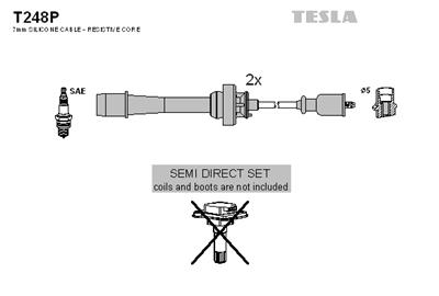 TESLA T248P EAN: 8595141022629.