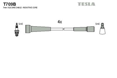 TESLA T709B EAN: 8595141005899.