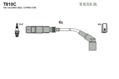 TESLA T810C EAN: 8595141012071.