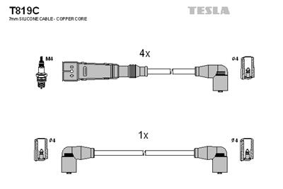 TESLA T819C EAN: 8595141012217.